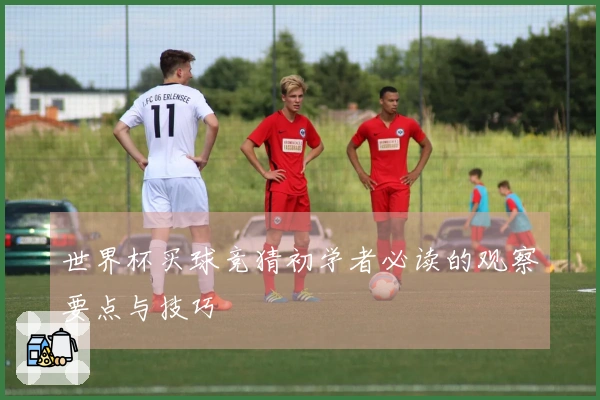 世界杯买球竞猜初学者必读的观察要点与技巧