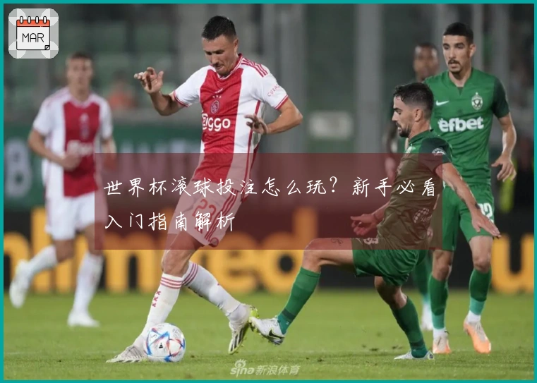 世界杯滚球投注怎么玩？新手必看入门指南解析