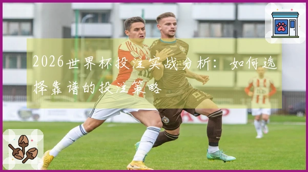 2026世界杯投注实战分析：如何选择靠谱的投注策略