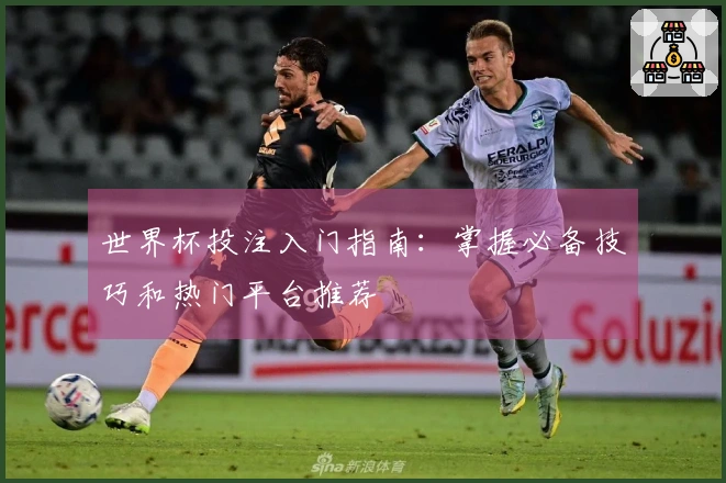 世界杯投注入门指南：掌握必备技巧和热门平台推荐