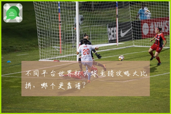 不同平台世界杯买球竞猜攻略大比拼，哪个更靠谱？