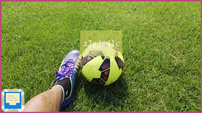 z2gjs41c