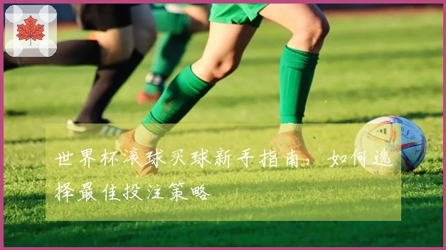 世界杯滚球买球新手指南，如何选择最佳投注策略