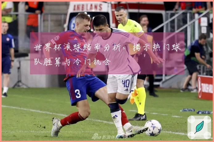 世界杯滚球赔率分析，揭示热门球队胜算与冷门机会