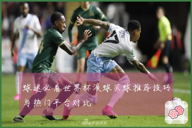 球迷必看世界杯滚球买球推荐技巧与热门平台对比
