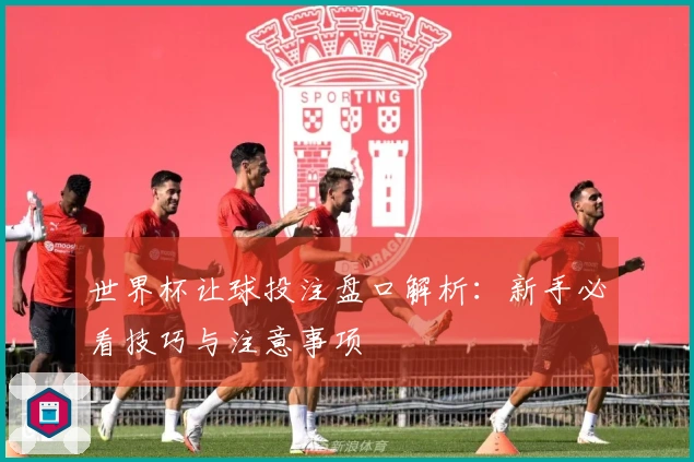 世界杯让球投注盘口解析：新手必看技巧与注意事项