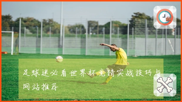 足球迷必看世界杯竞猜实战技巧与网站推荐