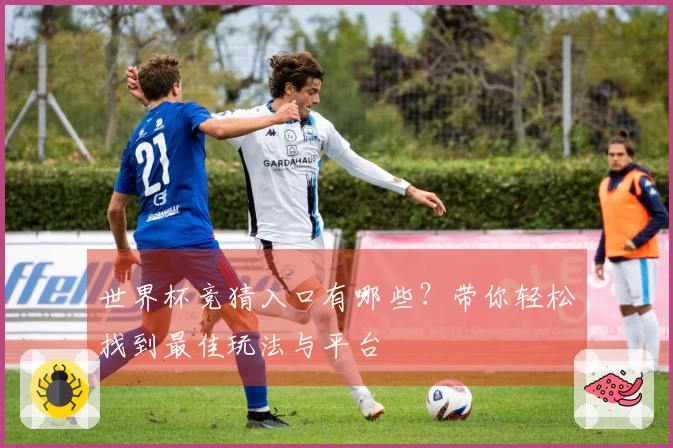 世界杯竞猜入口有哪些？带你轻松找到最佳玩法与平台