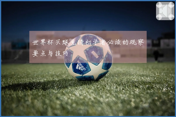 世界杯买球竞猜初学者必读的观察要点与技巧